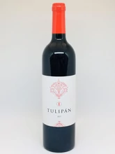 IKON TULIPÁN 2020
