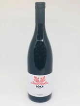 BÓKA KADARKA 2024
