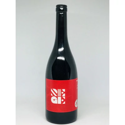 REGE EGRI PINOT NOIR SUPERIOR 2021