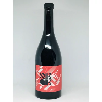 REGE PINOT NOIR 2020